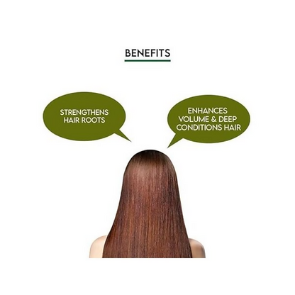 https://cdn.shopify.com/s/files/1/1857/6931/files/wTpN7JGn0r.png?v=1721113040