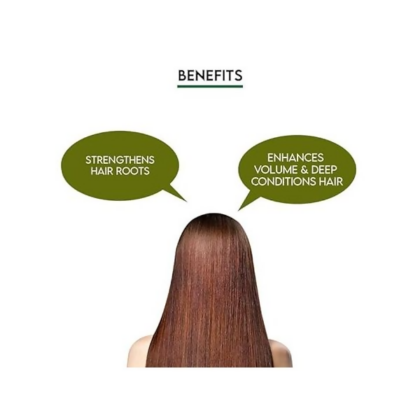https://cdn.shopify.com/s/files/1/1857/6931/files/wTpN7JGn0r.png?v=1721113040