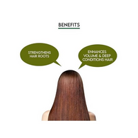 https://cdn.shopify.com/s/files/1/1857/6931/files/wTpN7JGn0r.png?v=1721113040
