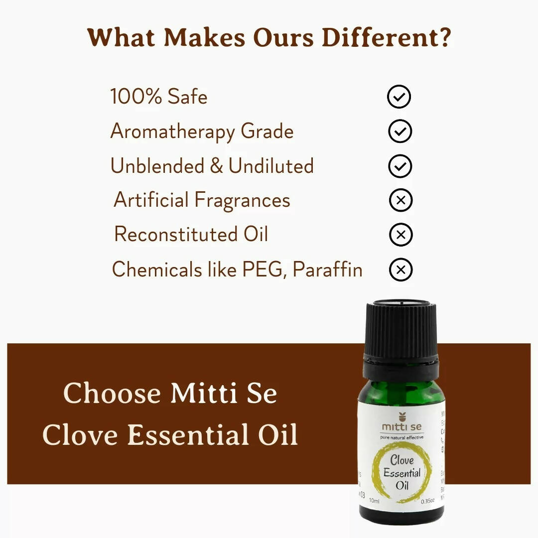 https://cdn.shopify.com/s/files/1/1857/6931/products/wWJRiBV3Vr.jpg?v=1670581880