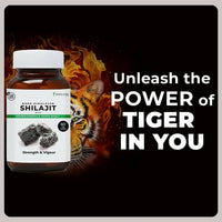 https://cdn.shopify.com/s/files/1/1857/6931/products/wc5xp6dOHx.jpg?v=1693984530