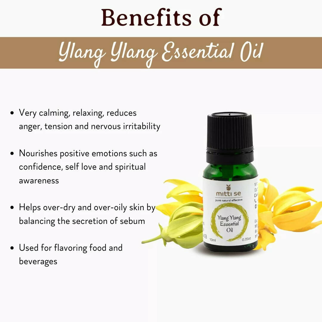 https://cdn.shopify.com/s/files/1/1857/6931/products/wckhZCHScG.jpg?v=1670583475
