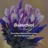 https://cdn.shopify.com/s/files/1/1857/6931/files/wdPksuAJCz.png?v=1720434942