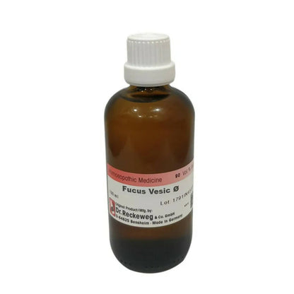https://cdn.shopify.com/s/files/1/1857/6931/products/wdbhAYgGZl.jpg?v=1679907956