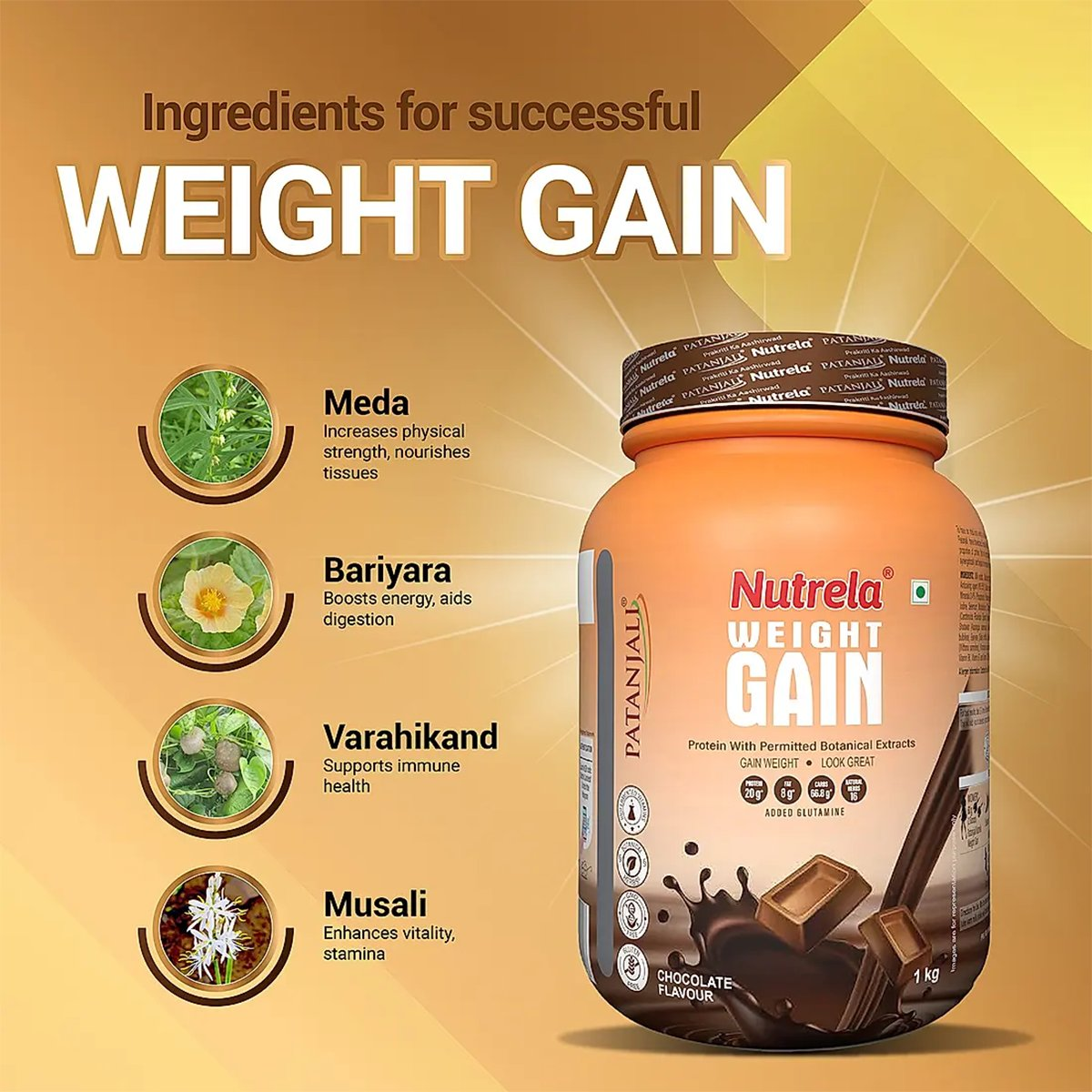 https://cdn.shopify.com/s/files/1/1857/6931/files/weightgainchocflavor4_1723612002.png?v=1763705370