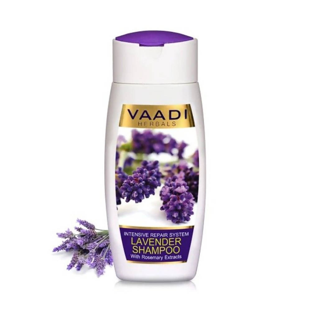 https://cdn.shopify.com/s/files/1/1857/6931/products/wfCDfBRxU1.jpg?v=1617935573