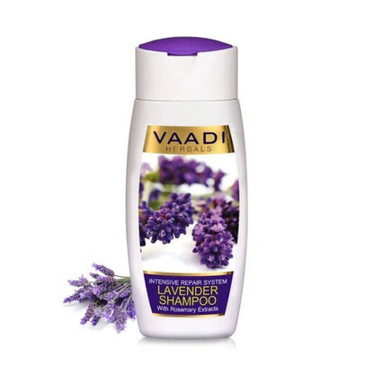 https://cdn.shopify.com/s/files/1/1857/6931/products/wfCDfBRxU1.jpg?v=1617935573