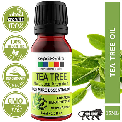 https://cdn.shopify.com/s/files/1/1857/6931/products/wgtqcwVtwB.jpg?v=1653483126