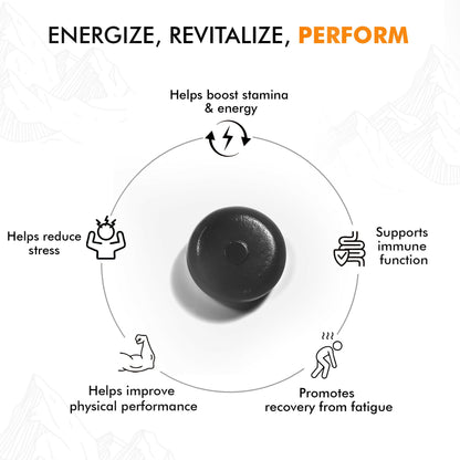 https://cdn.shopify.com/s/files/1/1857/6931/files/wi0G7SYl6W.jpg?v=1774444115