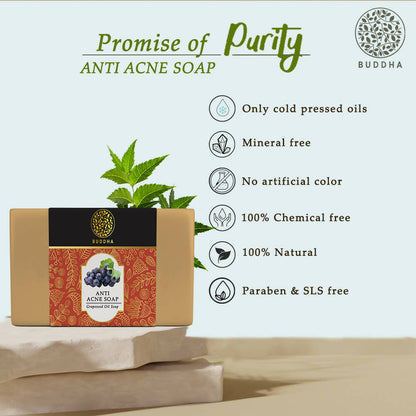 https://cdn.shopify.com/s/files/1/1857/6931/products/wiCAhf8YES.jpg?v=1677675029