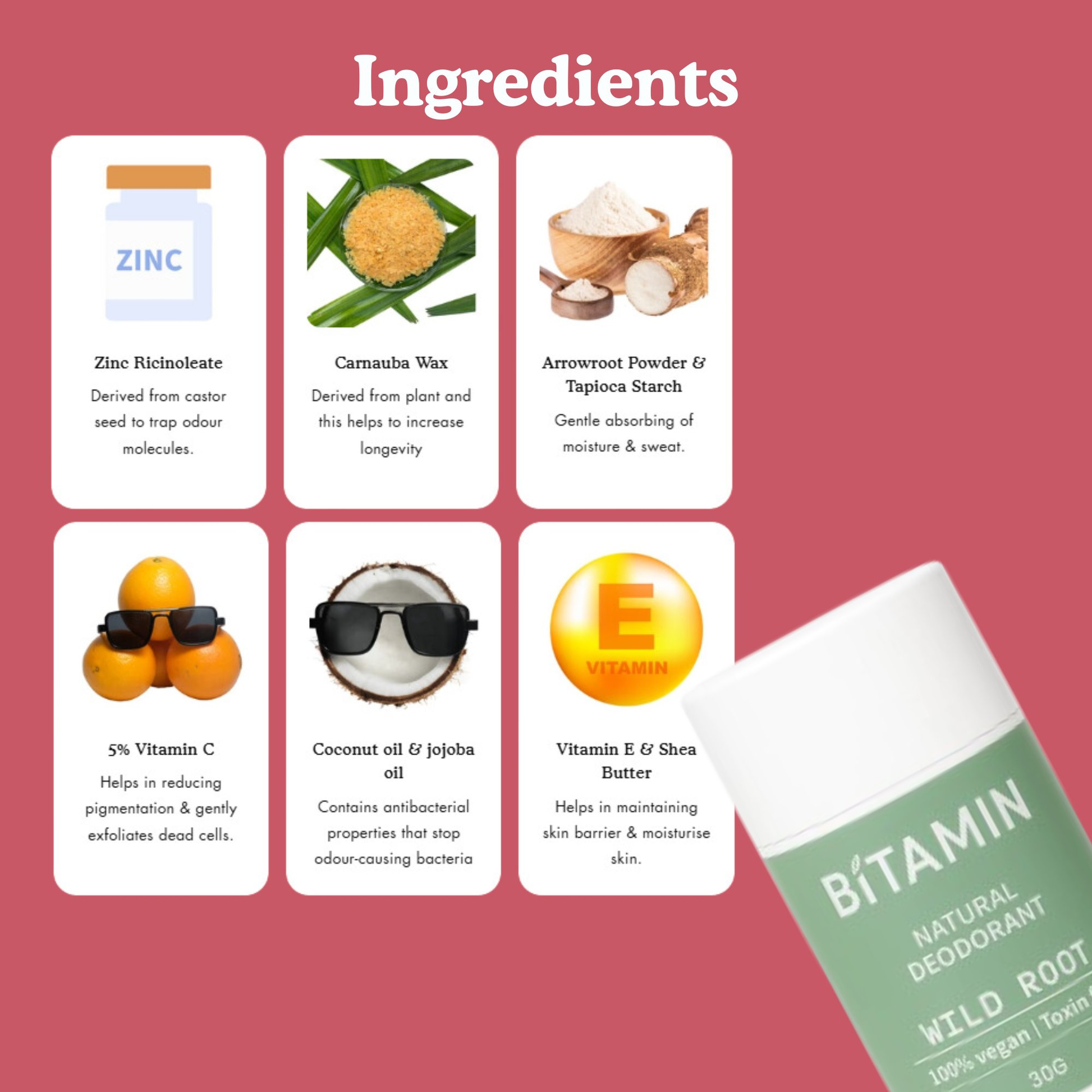 https://cdn.shopify.com/s/files/1/1857/6931/files/wildroot2.png?v=1757484503