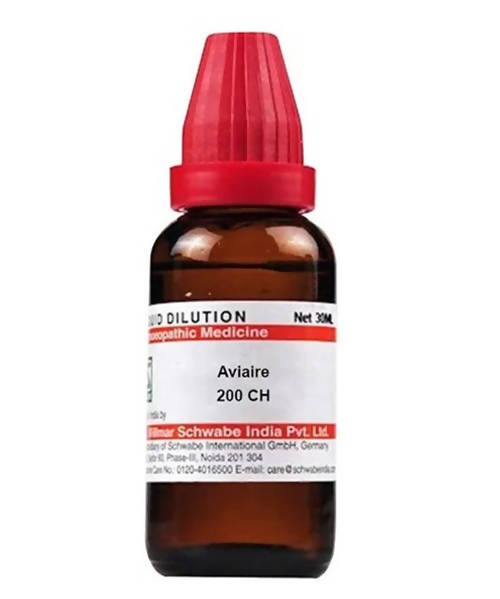https://cdn.shopify.com/s/files/1/1857/6931/products/wj2UsapOgd.jpg?v=1640865758