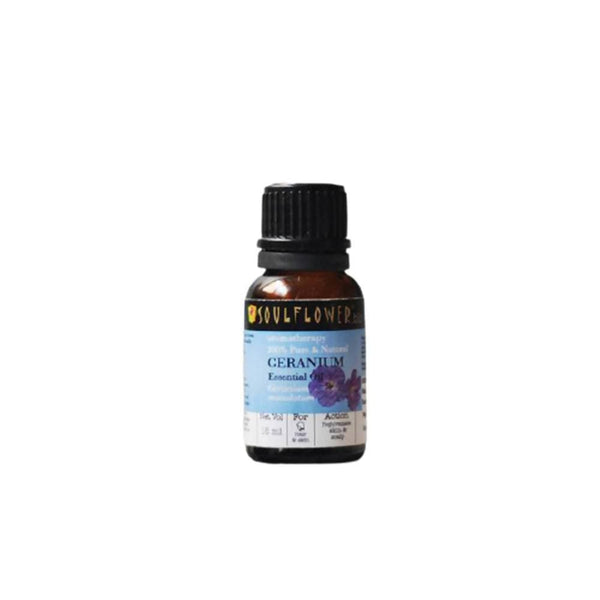 https://cdn.shopify.com/s/files/1/1857/6931/products/wjzjzaY7sp.jpg?v=1614911238