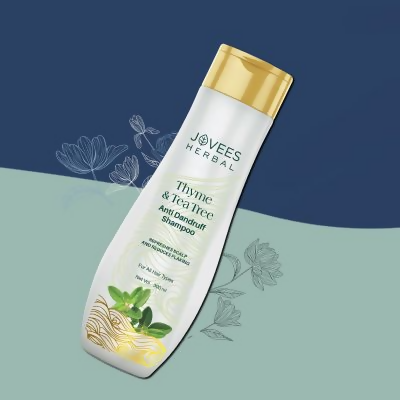 https://cdn.shopify.com/s/files/1/1857/6931/files/wn2bbNc7DQ.png?v=1721128568