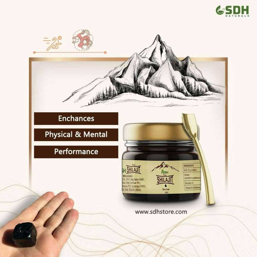 https://cdn.shopify.com/s/files/1/1857/6931/products/wruQQYgEde.jpg?v=1694257994