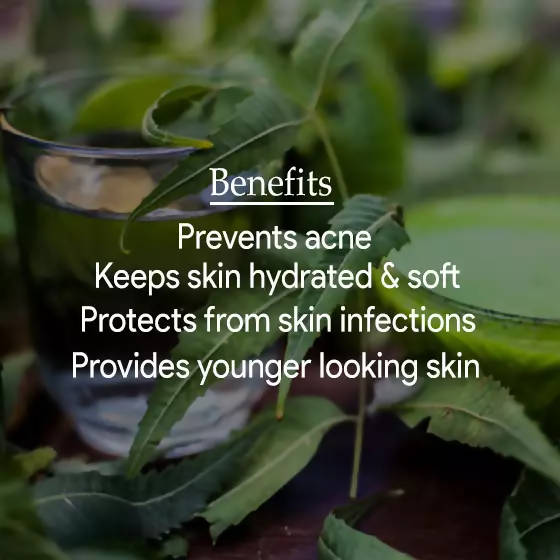https://cdn.shopify.com/s/files/1/1857/6931/products/wuKVvFV720.jpg?v=1633055690