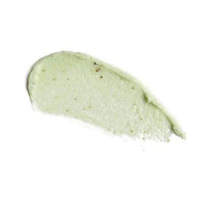 https://cdn.shopify.com/s/files/1/1857/6931/products/wvXT3SUbQv.jpg?v=1629448142