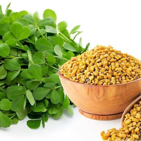 https://cdn.shopify.com/s/files/1/1857/6931/products/wwjEf3WSUN.jpg?v=1653375268