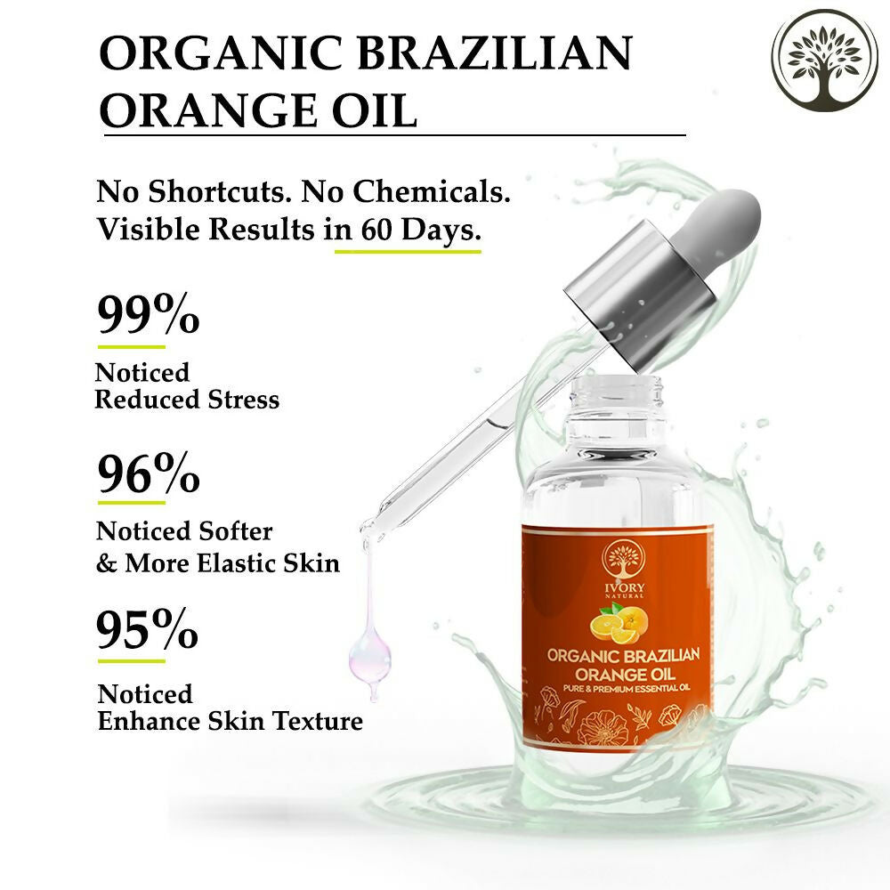 https://cdn.shopify.com/s/files/1/1857/6931/files/wxAayGnbkp.jpg?v=1717594438