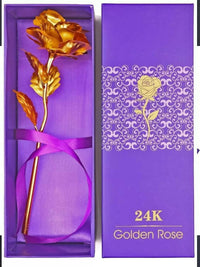 https://cdn.shopify.com/s/files/1/1857/6931/products/wzIy8F6PXj.jpg?v=1706527262