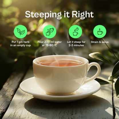 https://cdn.shopify.com/s/files/1/1857/6931/files/x4yNzT2S9J.png?v=1781005164