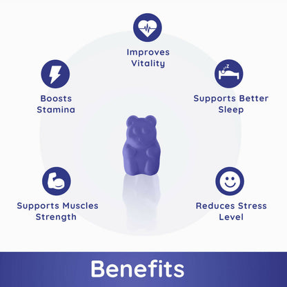 https://cdn.shopify.com/s/files/1/1857/6931/files/x57Z0JNhor.jpg?v=1728373323