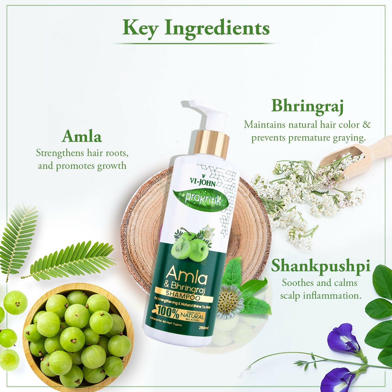https://cdn.shopify.com/s/files/1/1857/6931/files/x8ZXMBzZ9T.jpg?v=1760015021
