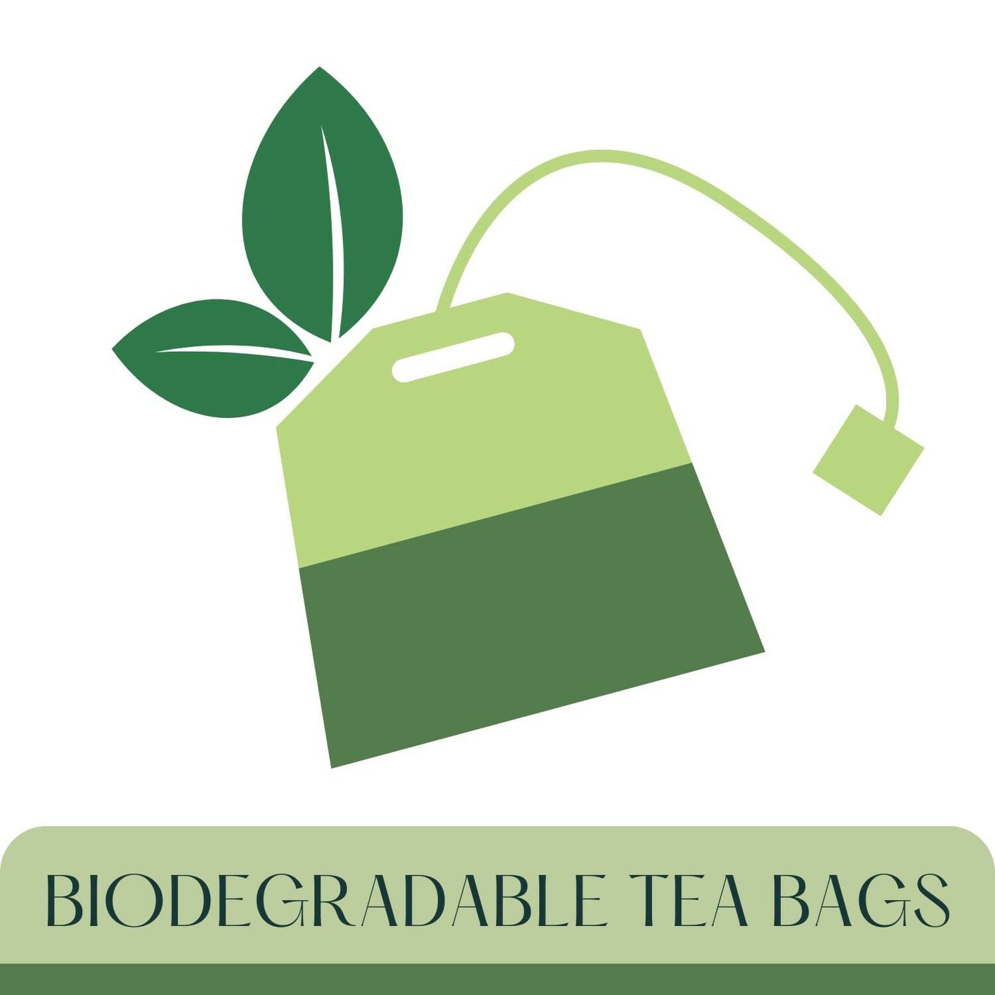 https://cdn.shopify.com/s/files/1/1857/6931/files/x8gqpH7sgq.jpg?v=1743760331