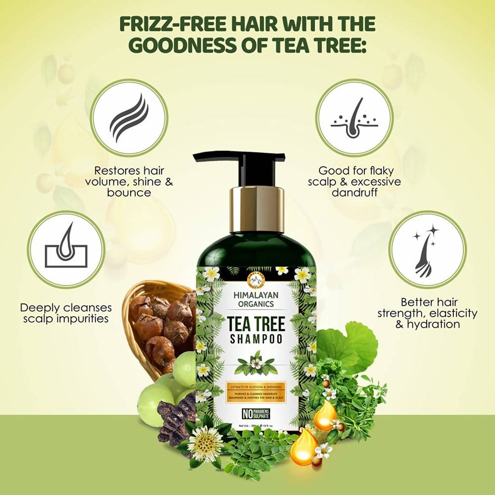 https://cdn.shopify.com/s/files/1/1857/6931/products/x9Bo4NaRsr.jpg?v=1626864554
