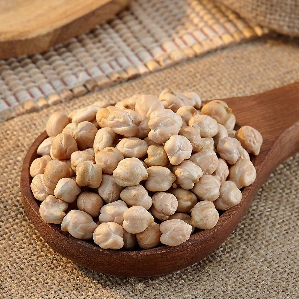 https://cdn.shopify.com/s/files/1/1857/6931/products/x9VThvKouG.jpg?v=1637230841