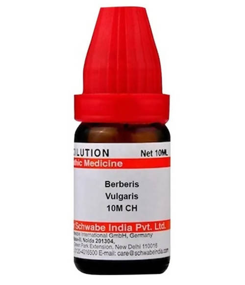https://cdn.shopify.com/s/files/1/1857/6931/products/x9svPkz5TL.jpg?v=1640863958