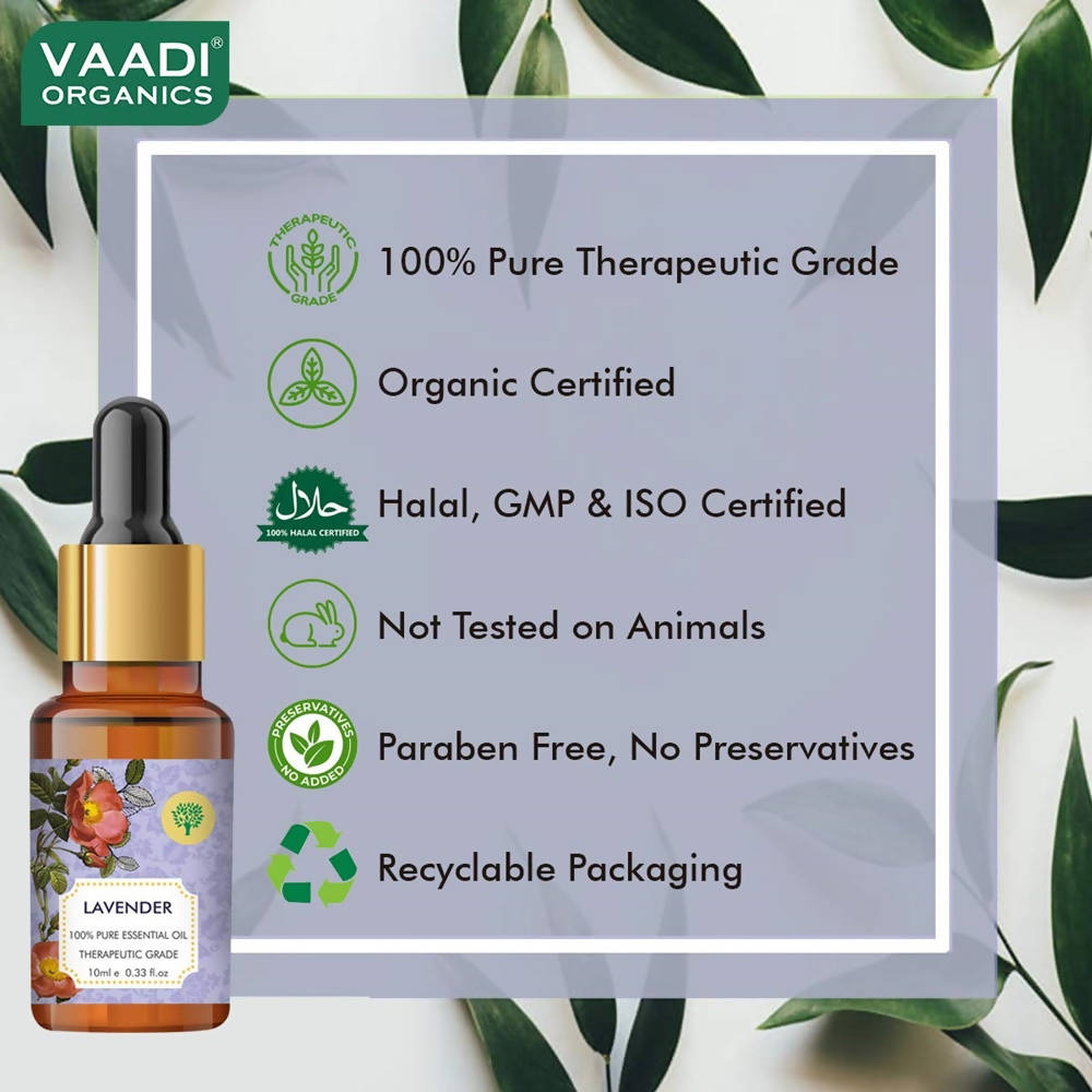 https://cdn.shopify.com/s/files/1/1857/6931/products/xALnV493W3.jpg?v=1618540043