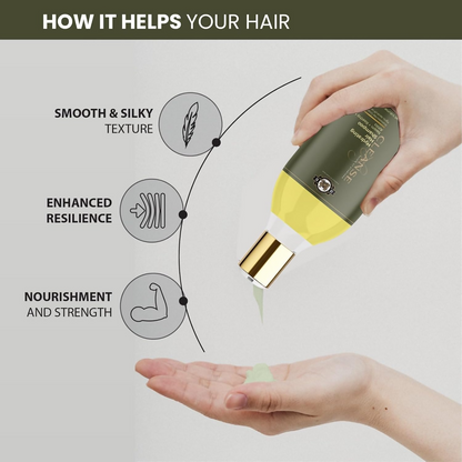 https://cdn.shopify.com/s/files/1/1857/6931/files/xDMHmJUDyu.png?v=1730810396