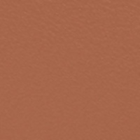 https://cdn.shopify.com/s/files/1/1857/6931/files/xEdtl6M2mN.png?v=1738233031