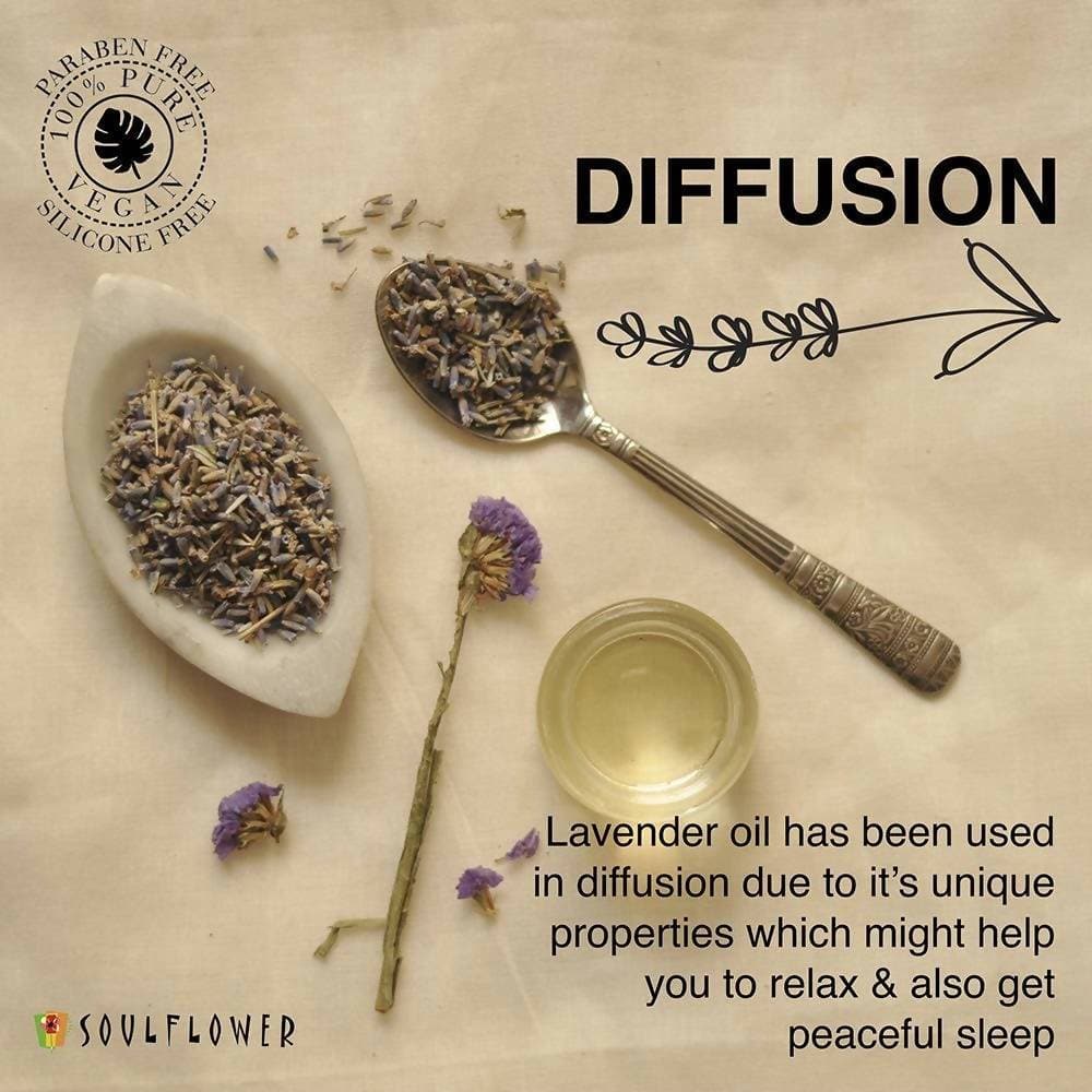 https://cdn.shopify.com/s/files/1/1857/6931/products/xGCa9Ei3ZN.jpg?v=1614911237