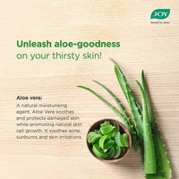 https://cdn.shopify.com/s/files/1/1857/6931/products/xGltdz4JYL.jpg?v=1646040753
