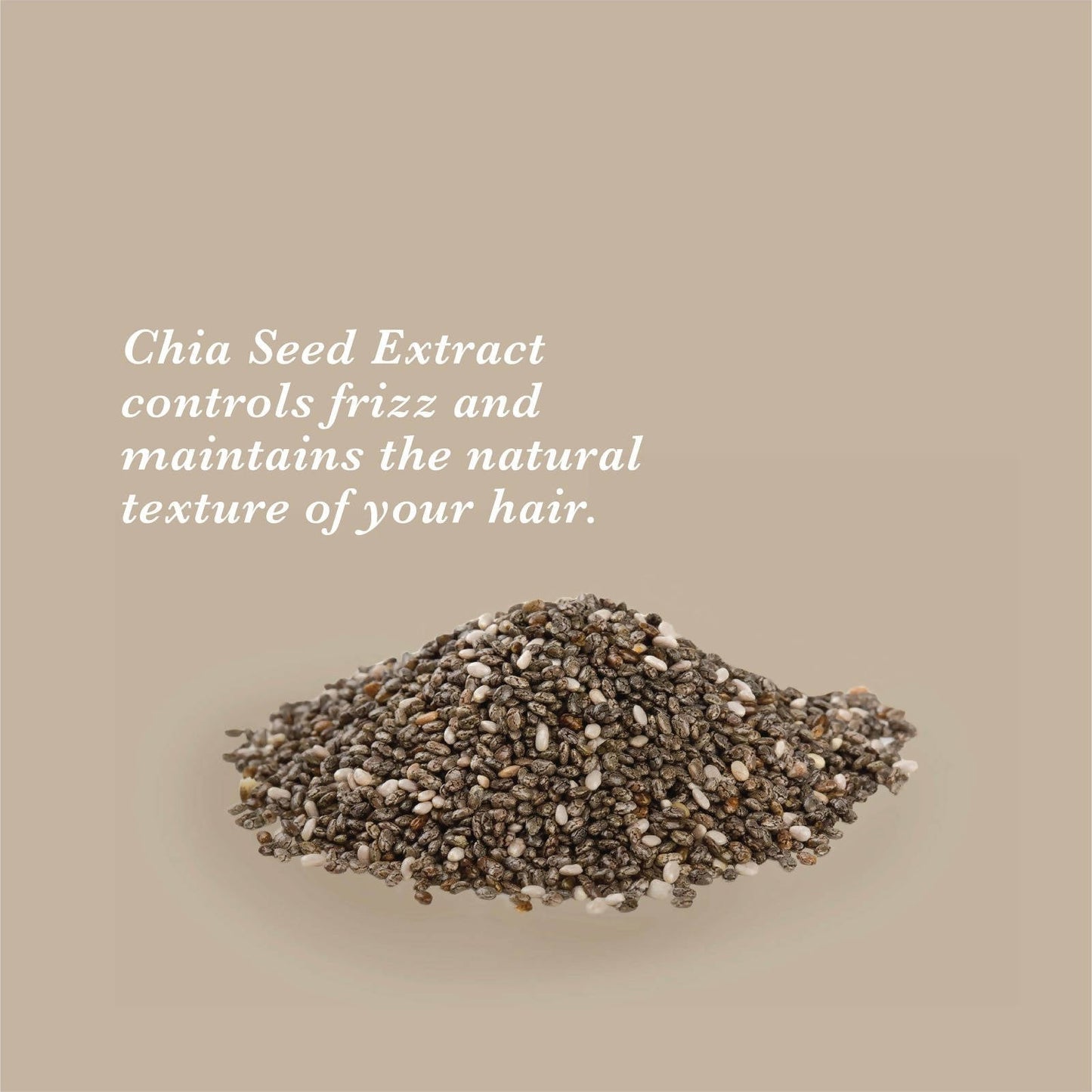 https://cdn.shopify.com/s/files/1/1857/6931/products/xGros1wjOa.jpg?v=1626873281