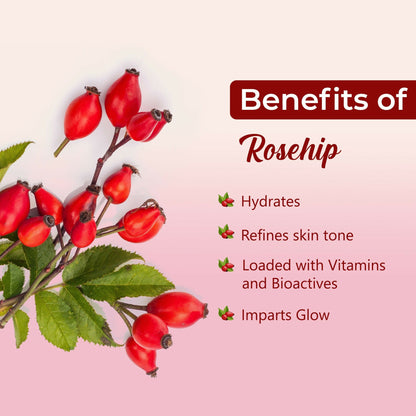 https://cdn.shopify.com/s/files/1/1857/6931/files/xHzVsfV7k4.jpg?v=1736597817