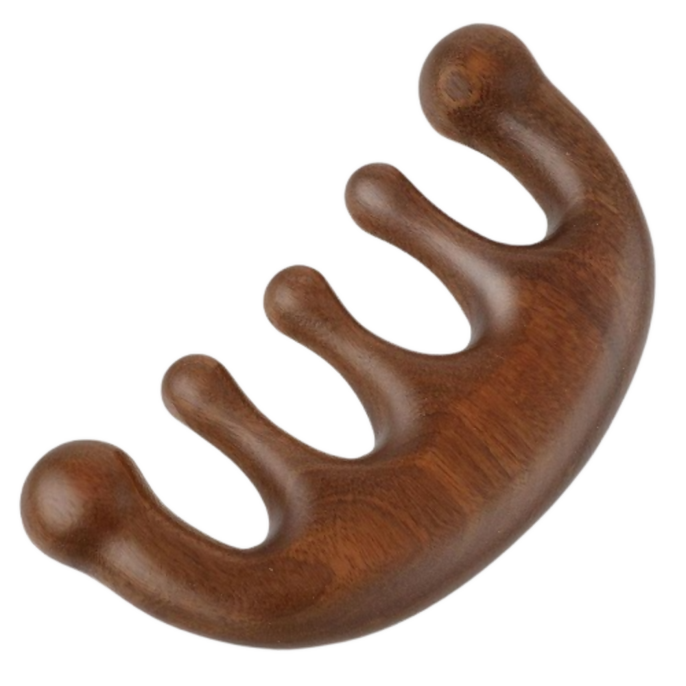 https://cdn.shopify.com/s/files/1/1857/6931/files/xJxQMl9C0i.png?v=1785492396