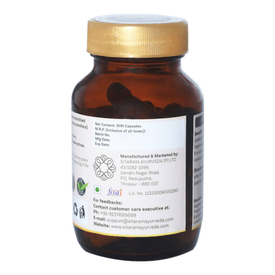 https://cdn.shopify.com/s/files/1/1857/6931/products/xLxMfdAAwN.jpg?v=1640776410