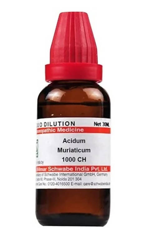 https://cdn.shopify.com/s/files/1/1857/6931/products/xMY9MIEJA3.jpg?v=1640863756