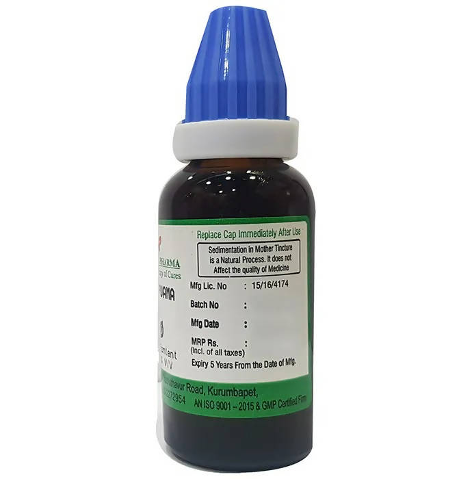 https://cdn.shopify.com/s/files/1/1857/6931/products/xN9HYhLymB.jpg?v=1660136532