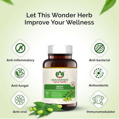 https://cdn.shopify.com/s/files/1/1857/6931/products/xOvFP0bv36.jpg?v=1683884857