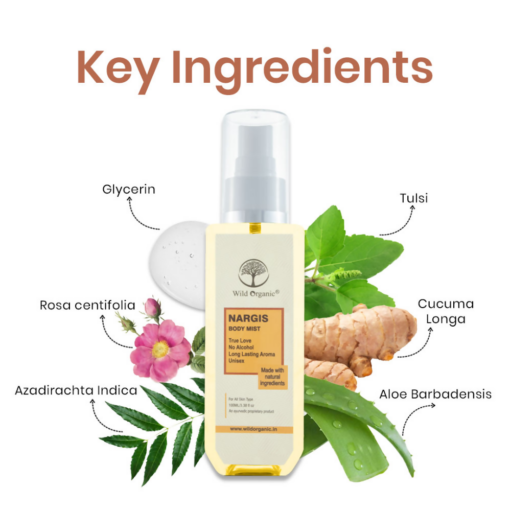 https://cdn.shopify.com/s/files/1/1857/6931/files/xPFKzy0PM9.png?v=1729855064