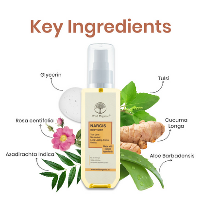 https://cdn.shopify.com/s/files/1/1857/6931/files/xPFKzy0PM9.png?v=1729855064