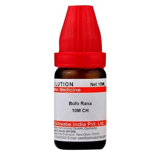 https://cdn.shopify.com/s/files/1/1857/6931/products/xPoifCXM6J.jpg?v=1640863930