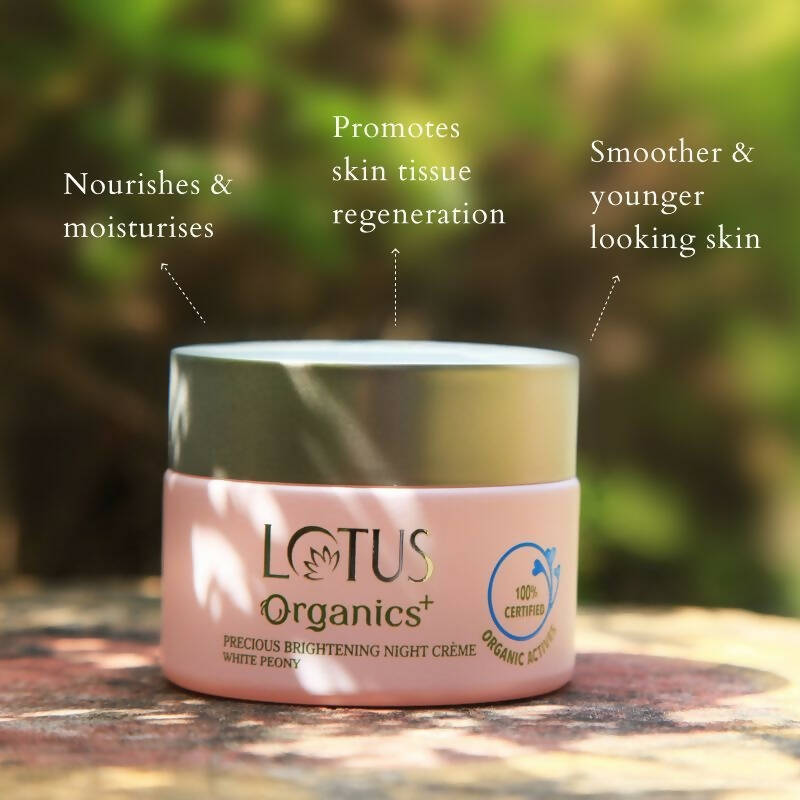 https://cdn.shopify.com/s/files/1/1857/6931/products/xSQiSGO1TX.jpg?v=1697183567