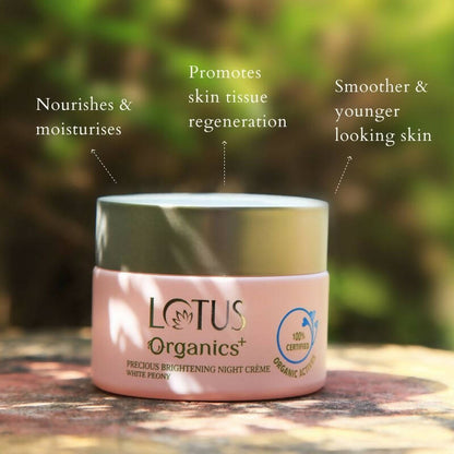https://cdn.shopify.com/s/files/1/1857/6931/products/xSQiSGO1TX.jpg?v=1697183567