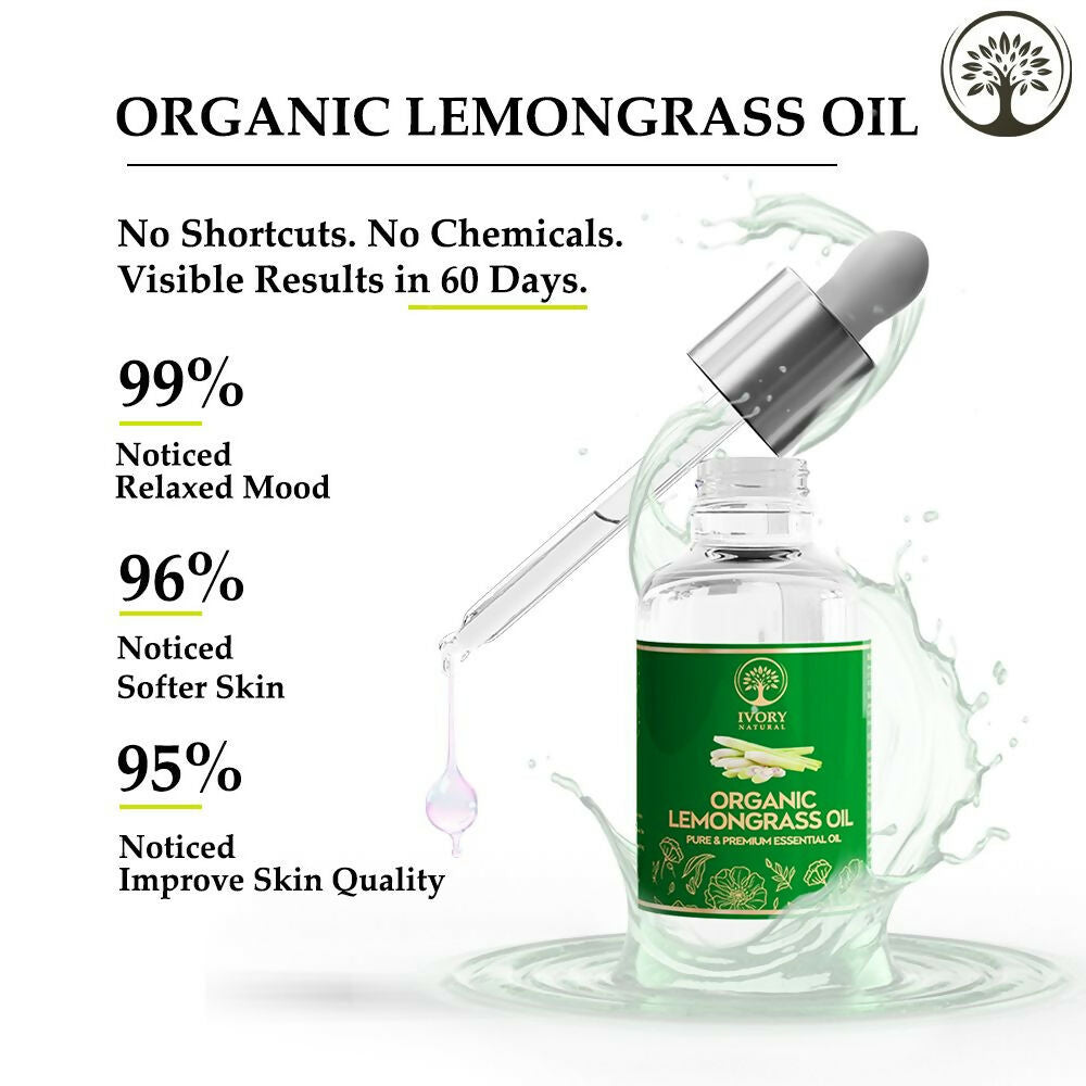https://cdn.shopify.com/s/files/1/1857/6931/files/xUJXXzMdXF.jpg?v=1717673873