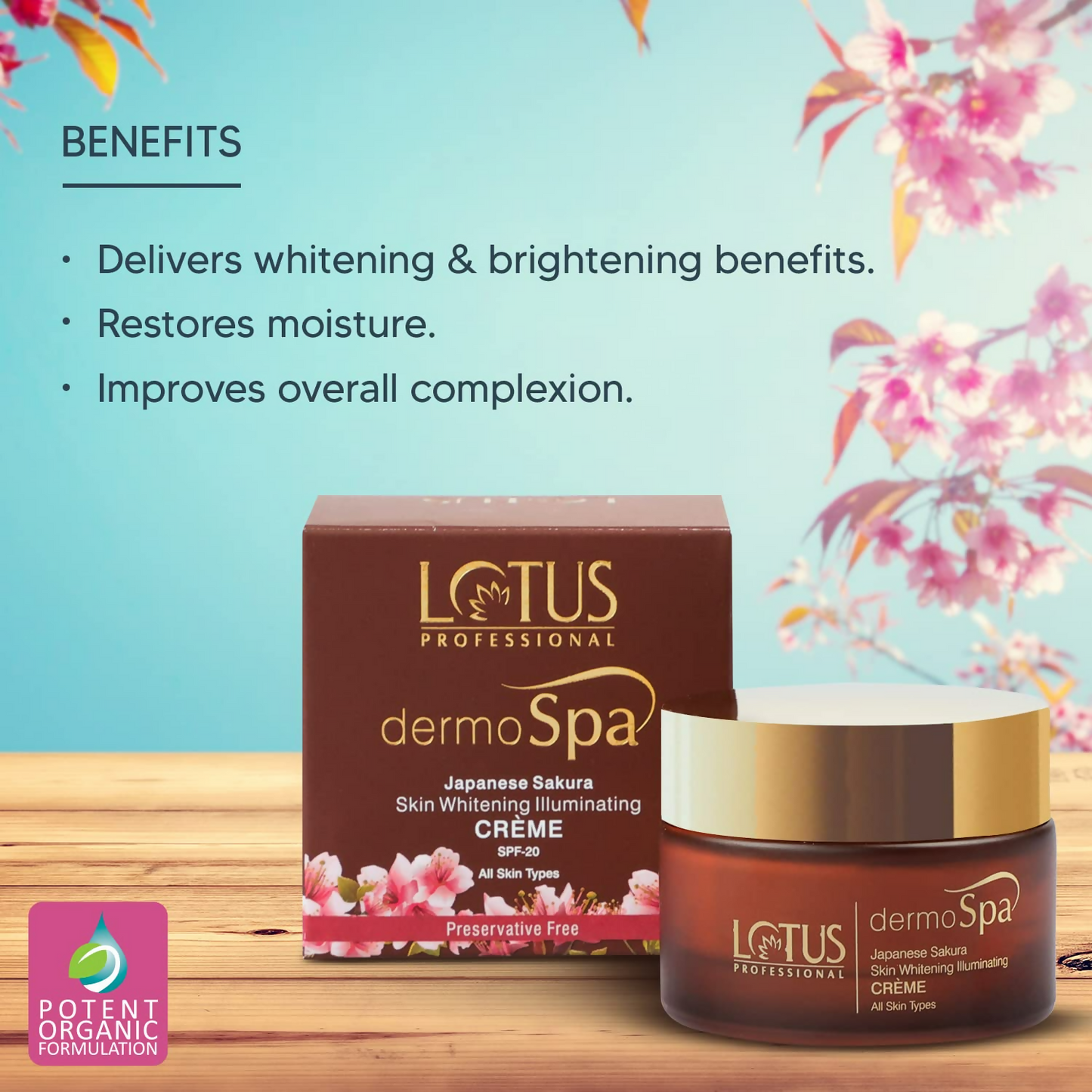 https://cdn.shopify.com/s/files/1/1857/6931/files/xV1ivF6bcy.png?v=1720515852